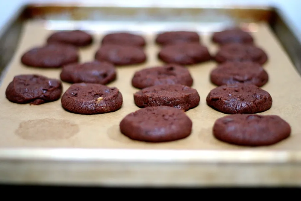world-peace-cookies